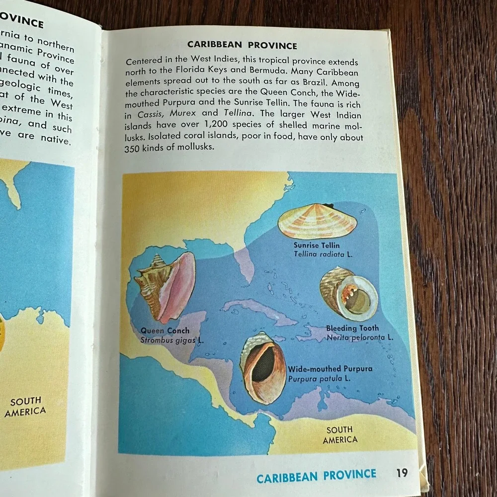 Sea Shells of the World Golden Nature Guide R Tucker Abbott Vintage Book 1962